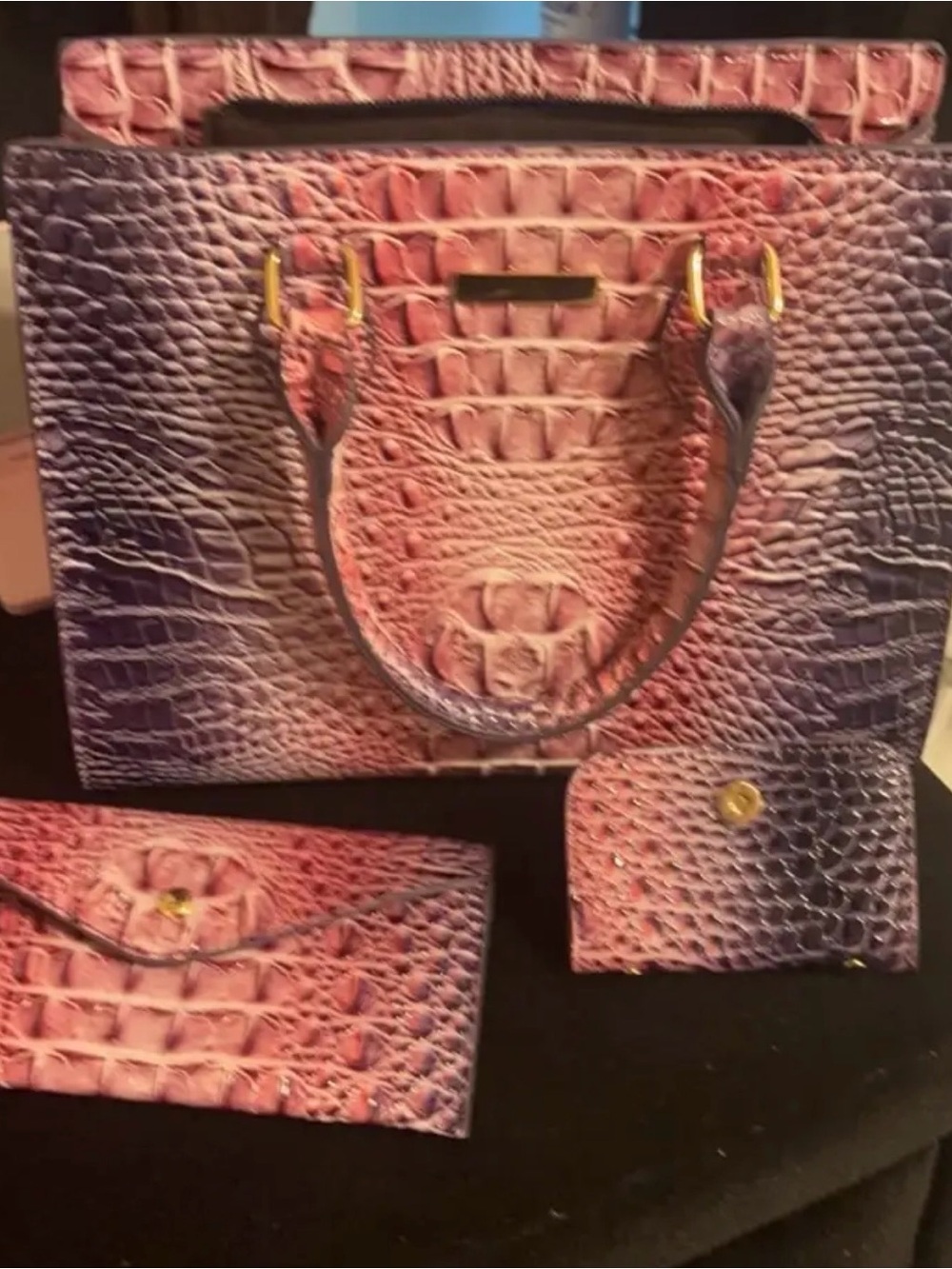 Gradient Croc-Embossed Tote and Wallet Set in Pink and Purple